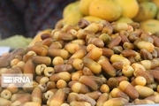 ارتباط بین دانشگاه و تولیدکننده خرما در ایران ناچیز است