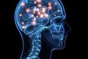 نامیراییِ ذهن انسان با آپلود مغز به کامپیوتر به زودی محقق می شود!