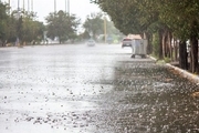 بارندگی در گنبدکاووس 55 درصد افزایش یافت