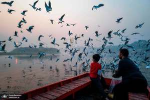 منتخب تصاویر امروز جهان- 9 آبان