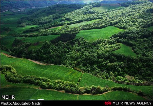 ثبت جنگل‌های هیرکانی و عقبگرد دولتی‌ها از ساحل