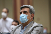 پیروز حناچی: غیر رسمی تهدید شده ام/ شهردار تهران وجود خطر پرستوها را تایید کرد!