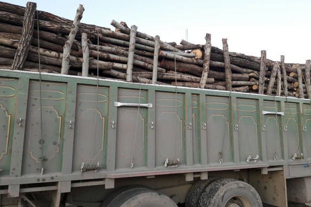9.5 تن چوب قاچاق در بوکان کشف شد