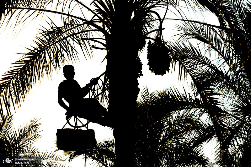 منتخب تصاویر امروز جهان- 1 مهر