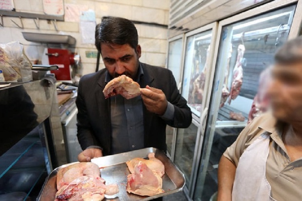 4600 کیلو مرغ غیر بهداشتی در کشتارگاه های قزوین کشف شد