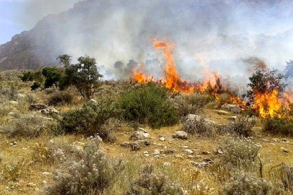 مهار آتش‌سوزی در منطقه دیزمار آذربایجان‌شرقی