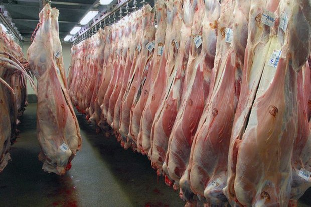 سالانه 5 هزار تن گوشت در نهبندان تولید می شود