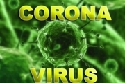 شایعه ای خطرناک تر از ویروس  هیچ بیمار کرونا در کرمان وجود ندارد