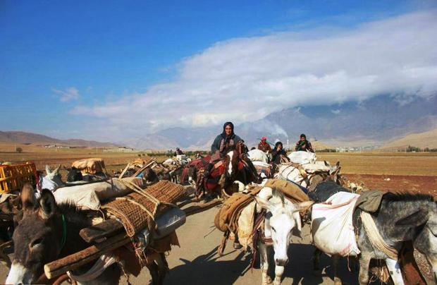 عشایر از نیمه اردیبهشت اجازه ورود به همدان دارند