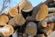 دو تن چوب جنگلی قاچاق در گنبدکاووس کشف شد