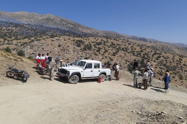 آتش سوزی در مراتع الموت غربی قزوین مهار شد