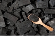 تولید زغال از پوست بادام زمینی در ایران 
