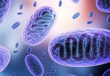 چه کسانی در معرض قارچ سیاه هستند؟
