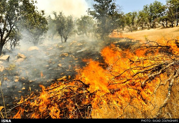 سه هکتار از جنگل های گیلانغرب در آتش سوخت