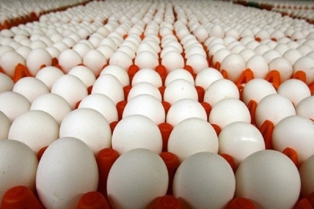 محموله تخم مرغ غیر بهداشتی در آستارا توقیف شد