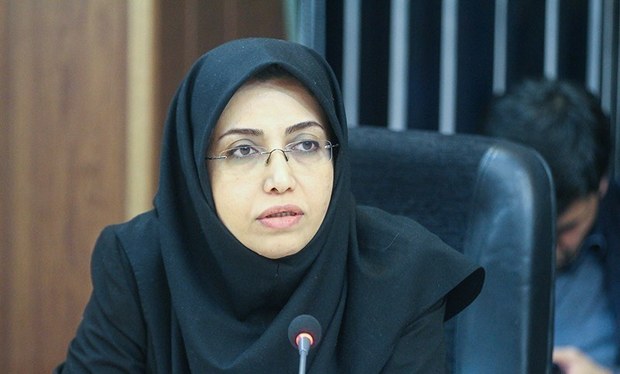 عضو شورای شهر تهران: مشارکت مالی شهرداری در طرح های مختلف باید دقیقا مشخص باشد