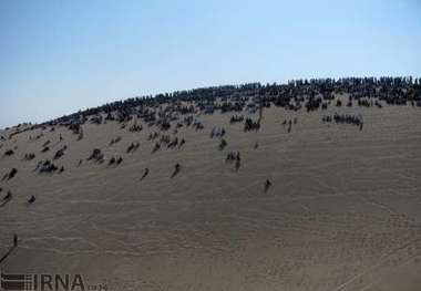گردشگران خارجی از تپه های شنی ریگان دیدن کردند