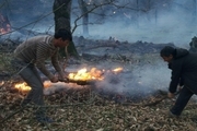 آتش سوزی در جنگل های گالیکش