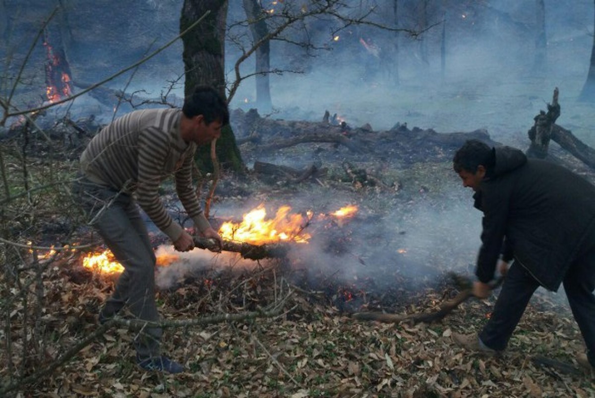 ۱۰۰ هکتار از جنگل های شمیرانات در آتش سوخت