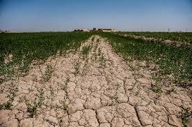 55درصد مساحت آذربایجان غربی دچار خشکسالی متوسط شده است