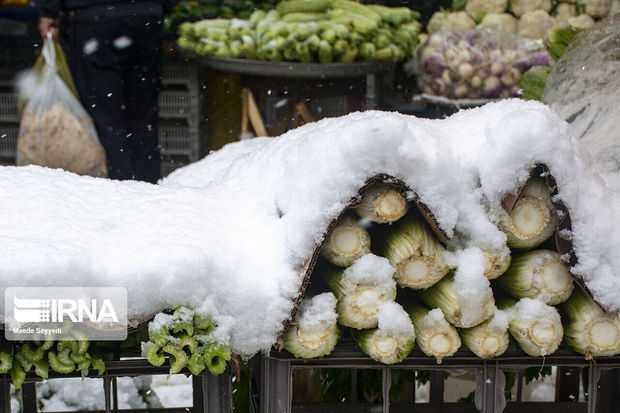 ضرورت رعایت توصیه های بهداشتی با بارش برف در گیلان