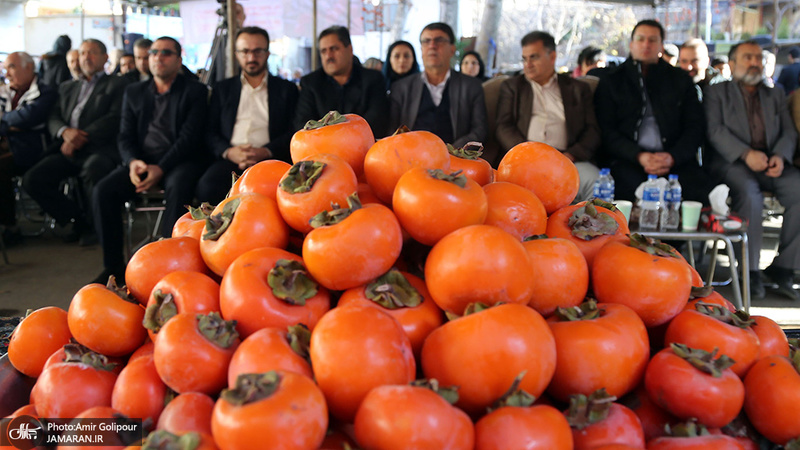 برگزاری اولین جشنواره خرمالو در روستای کشار سفلی
