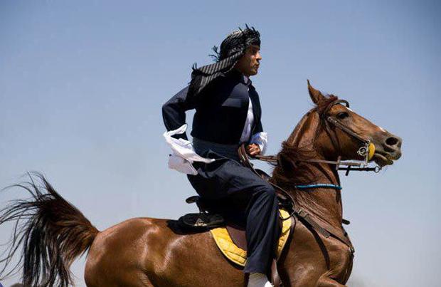 برترین های نخستین جشنواره ملی اسب کُرد در سنندج معرفی شدند