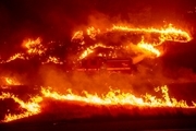 تصاویر/ کالیفرنیا بار دیگر در حلقه های آتش