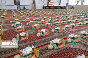 سه هزار بسته معیشتی در حاشیه شهر مشهد توزیع شد