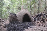 ۶ کوره زغال در جنگل‌های آستارا تخریب شد
