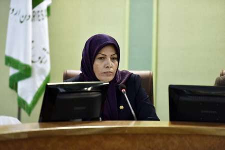 عضو اتاق بازرگانی ایران: دولت به سهم بانوان در کابیه دوازدهم توجه می کند
