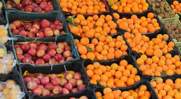 توزیع میوه طرح تنظیم بازار در خراسان رضوی آغاز شد