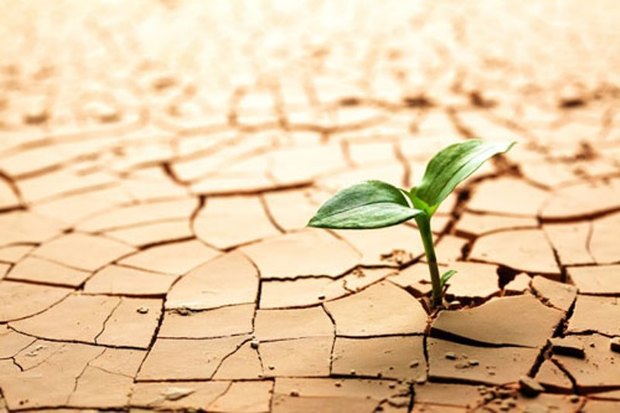 زایش بیابان، باید مهار شود