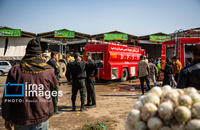 تصاویری از سقوط بالگرد ارتش در «درچه» اصفهان (5)