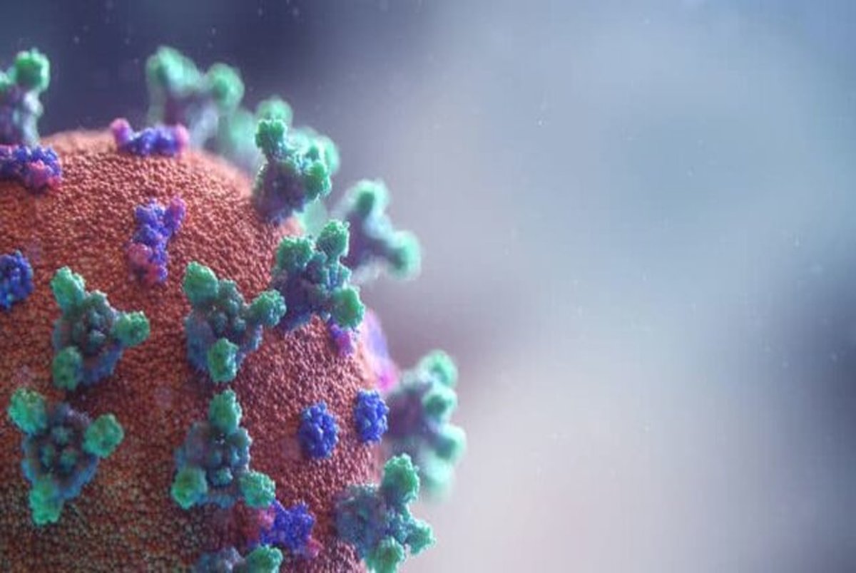 تشخیص فوق العاده کرونا ویروس توسط سیستم ایمنی بدن