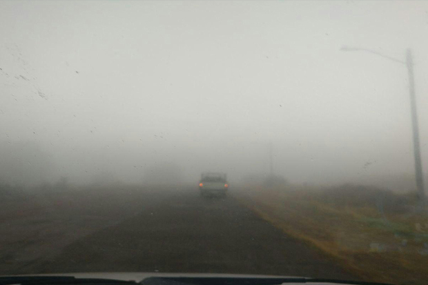 مه غلیظ، تردد درگردنه های مناطق شمالی زنجان را کند کرده است