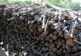 کشف 3 تن و500 کیلو گرم چوب قاچاق درخت جنگلی بلوط درشهرستان لردگان