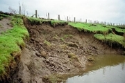 سالانه ۲.۵ میلیارد تن فرسایش خاک در کشور اتفاق می افتد