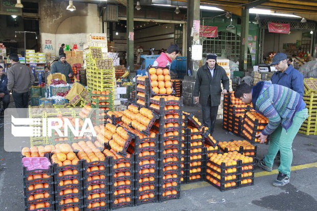 معاون سازمان صنعت: قرار داد خرید ۷ هزار تن سیب و پرتقال عید تهران بسته شد