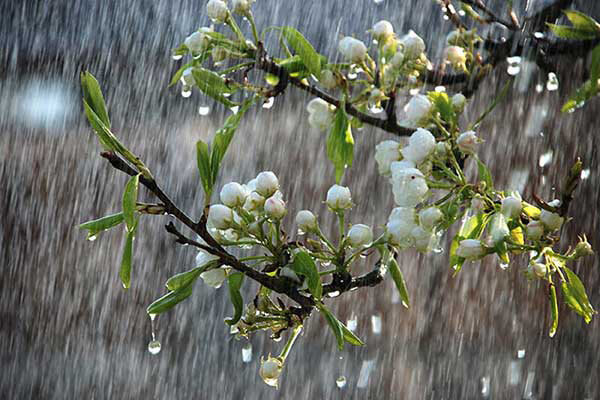 بارش ها پراکنده در گلستان  دمای هوا کاهش می یابد