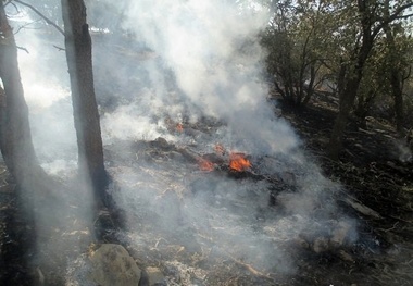 مهار آتش‌سوزی در مراتع دالاهو  صعب العبور بودن مانع اصلی مهار آتش