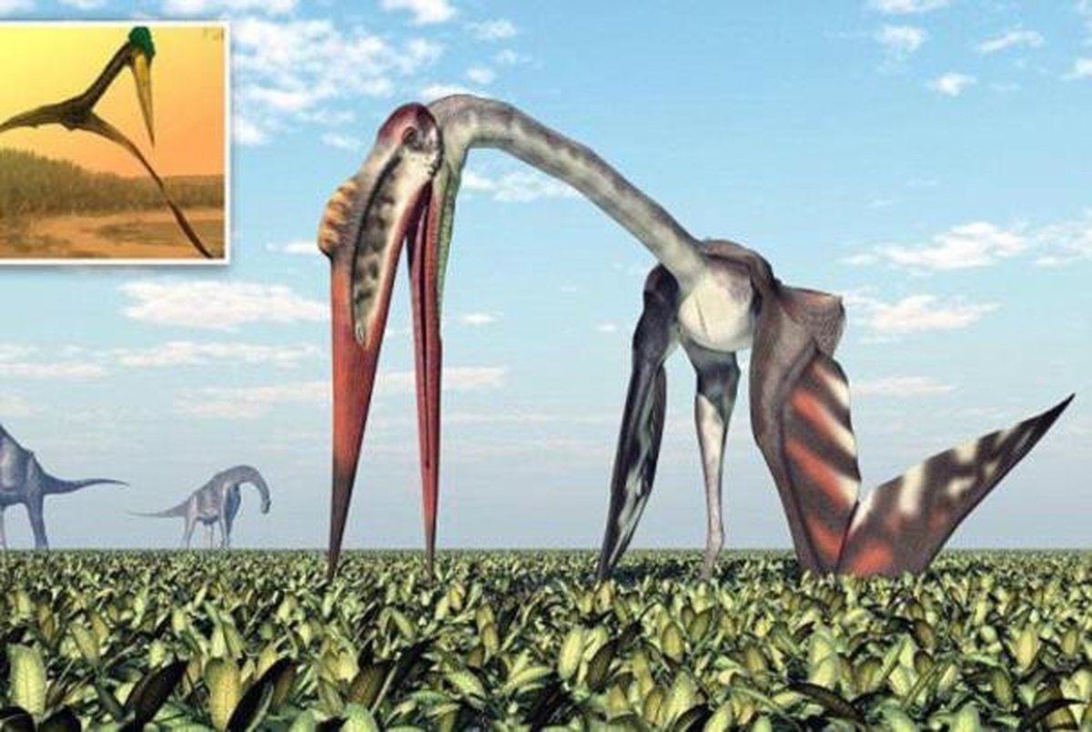  فسیل پرنده عظیم ۷۰ میلیون ساله در مغولستان کشف شد