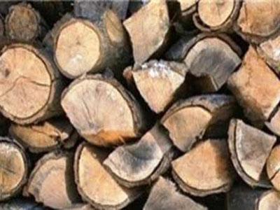 کشف 10 تن چوب جنگلی قاچاق در املش