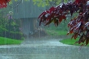 ۲۱.۳ میلیمتر بارندگی در تنگچنار مهریز ثبت شد