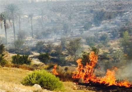 آتش سوزی 700میلیون تومان به کشاورزی  حاجی آباد خسارت زد