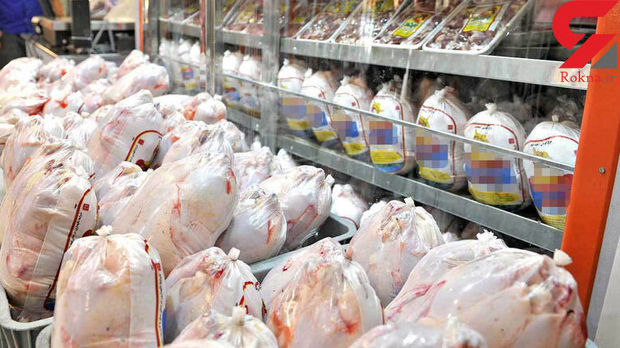 بیش از ۲۲ میلیون کیلوگرم گوشت گرم مرغ در مراکز عرضه زنجان توزیع شد