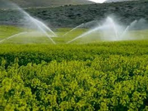 66 طرح کشاورزی آذربایجان شرقی در هفته دولت افتتاح می شود