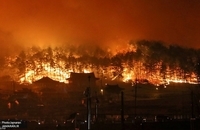 آتش سوزی کره جنوبی