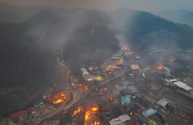 آتش‌سوزی‌ جنگلها در کره‌جنوبی شدیدتر و مرگبارتر شد 
