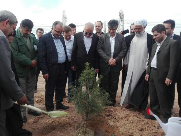 فضای سبز استان مرکزی در هفته درختکاری 600 هکتار افزوده می شود